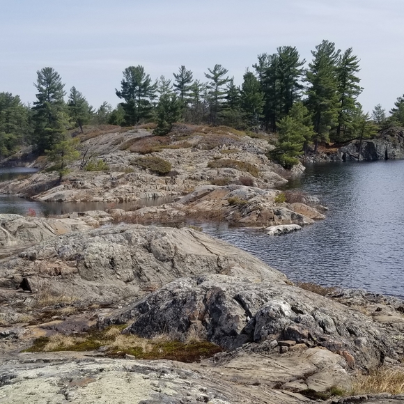 Meet your Posher, Sarah - Picture 6 of 6